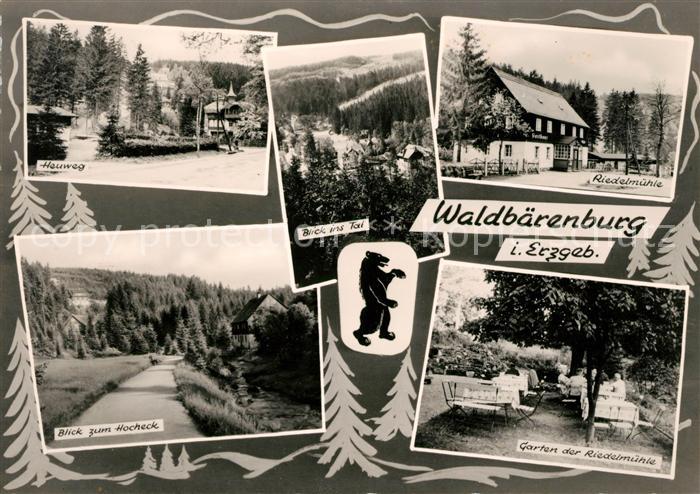 Waldbaerenburg Heuweg Hocheck Garten Riedelmuehle