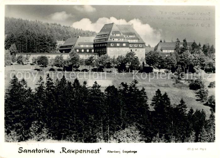 Altenberg Erzgebirge Sanatorium Raupennest