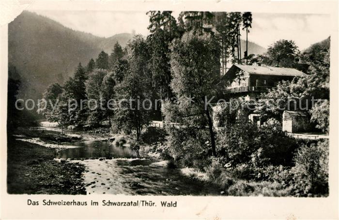 Schwarzatal Das Schweitzerhaus