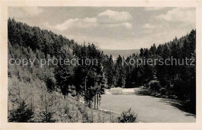Elgersburg Am Goldfischteich