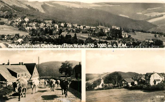 Gehlberg Panorama Viehauftrieb Dorfmotiv