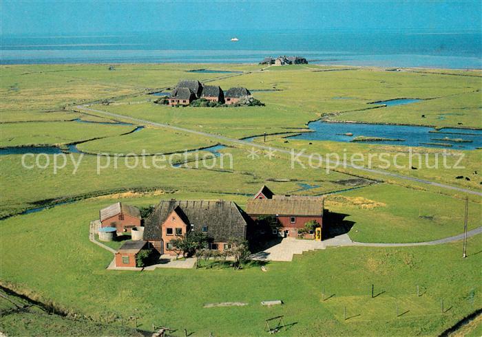 Hallig Hooge Fliegeraufnahme mit Volkerts Ipkens und Westerwarft