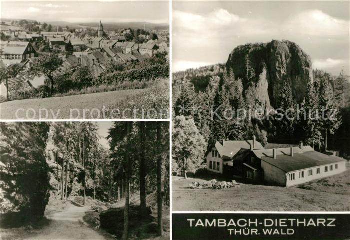 Tambach-Dietharz Panorama Waldweg Ferienheim