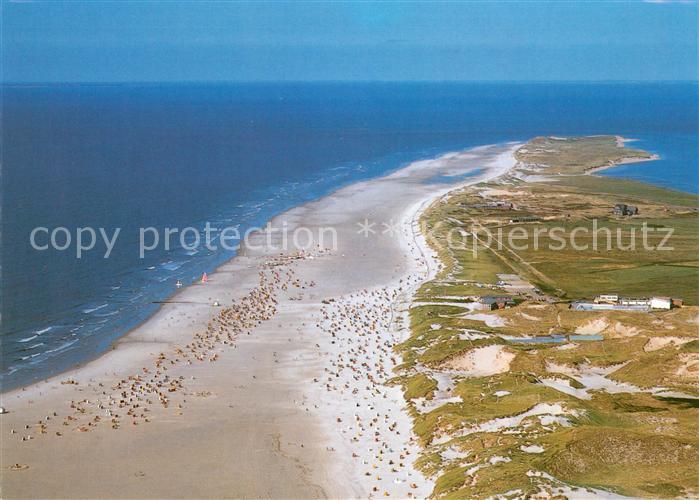 Insel Amrum Strand und Duenen Fliegeraufnahme