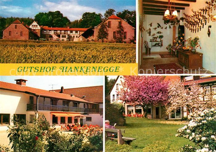 Kalletal Gutshof Hankenegge Jagdzimmer Garten