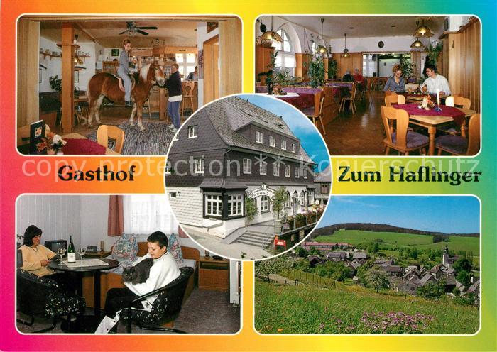 Meura Pferd im Gasthof Zum Haflinger Gaststuben Panorama