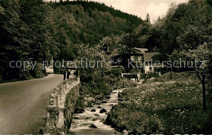 Trusetal Gasthaus zum Trusentaler Wasserfall