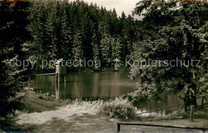 Wildemann Oberer Spiegeltaler Teich