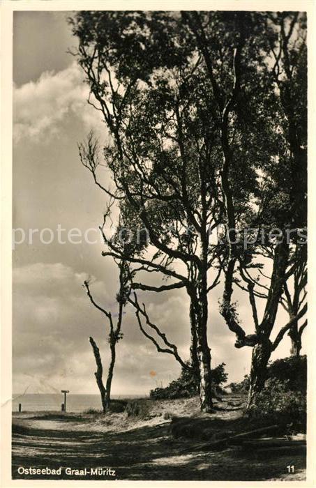 Graal-Mueritz Ostseebad