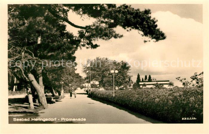 Heringsdorf Ostseebad Usedom Promenade
