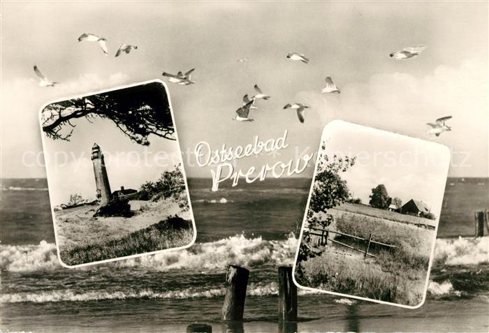 Prerow Ostseebad Leuchtturm Moewen