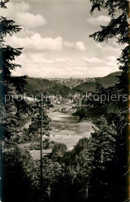 FREUDENSTADT BW Panorama