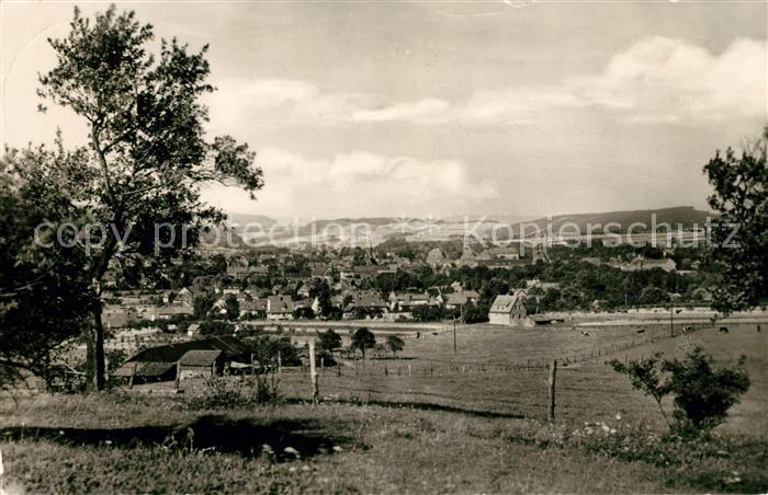 Heiligenstadt Eichsfeld Panorama