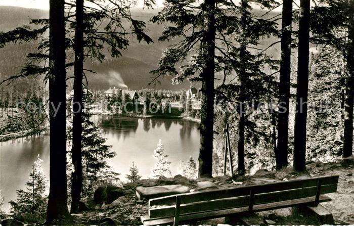 Mummelsee Teilansicht