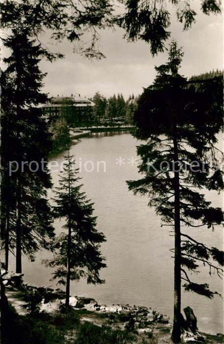 Mummelsee Teilansicht