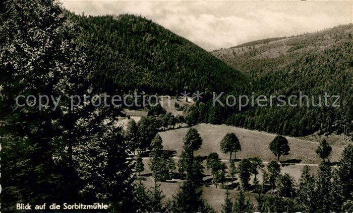 Rudolstadt mit Sorbitzmuehle