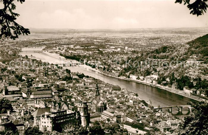 Heidelberg Neckar Blick vom Rindenhaeuschen
