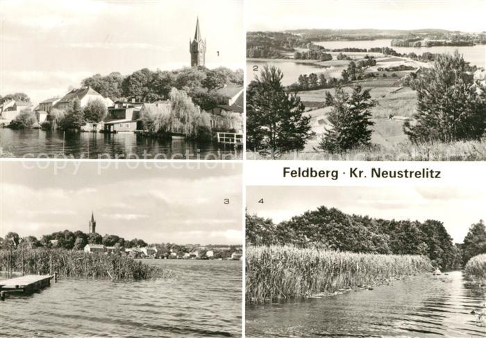 Feldberg Mecklenburg Bad Am Haussee Blick vom Huettenberg Seerosen Kanal