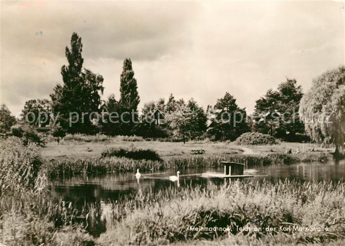 Kleinmachnow Schwanenteich