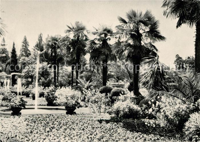 Bad Pyrmont Partie im Palmengarten