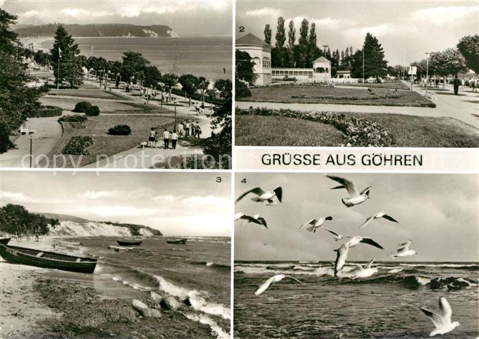 Goehren Ruegen Promenade Suedstrand Moewen