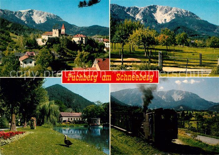 Puchberg Schneeberg Burg Eisenbahn Schneeberg