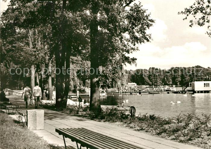 Bad Saarow-Pieskow Schwanenwiese