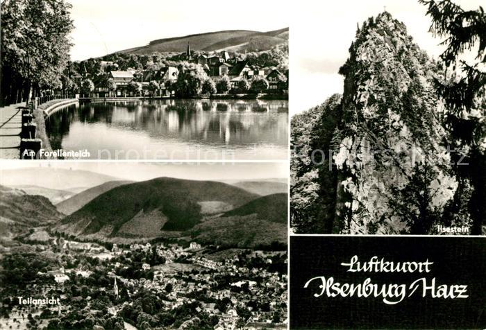 Ilsenburg Harz Forellenteich Panorama Ilsestein