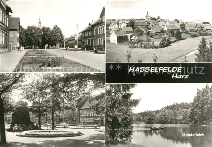 Hasselfelde Markt Gondelteich Panorama