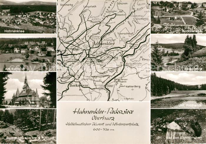 Hahnenklee-Bockswiese Harz Kurteich Bocksberg Eichhoernchen Flossteich Damenkape