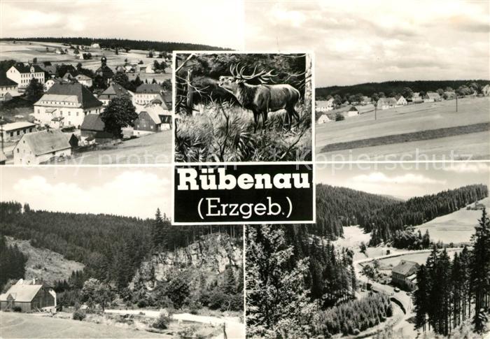 Ruebenau Panorama Hirsch