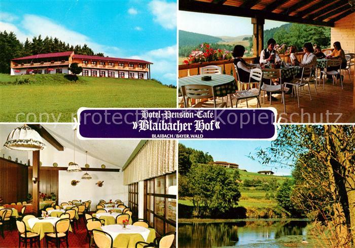 Blaibach Hotel Pension Blaibacher Hof Terrasse Speisesaal