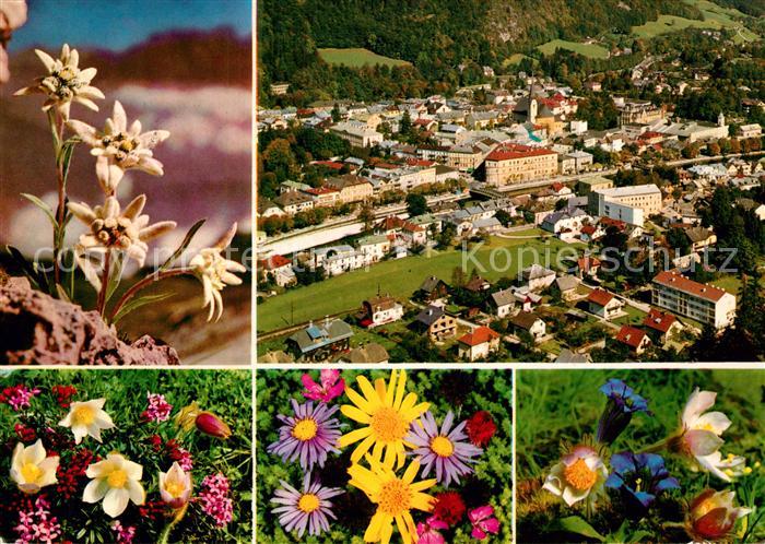 Bad Ischl Salzkammergut Fliegeraufnahme Alpenflora