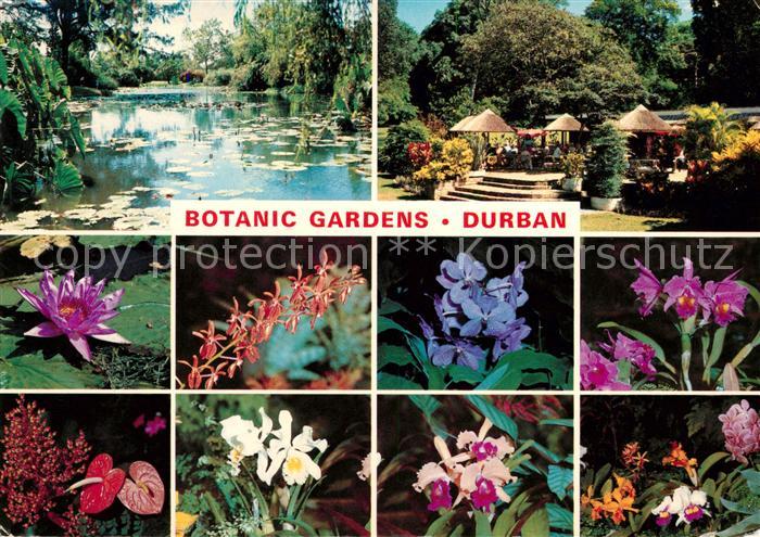 Durban South Africa Botanic Gardens Seerosenteich Pavillons Flora