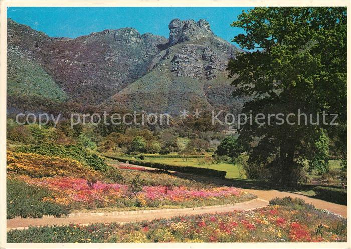 Cape Peninsula Kirstenbosch Gardens