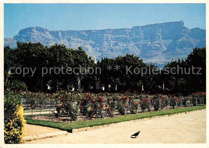 Kapstadt mit Tafelberg
