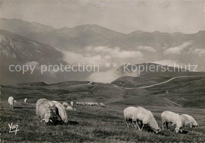 Paturages au Col d’Aubisque et montagnes des Eaux Chaudes