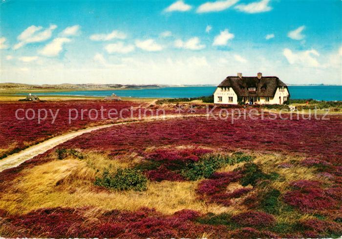 Insel Sylt Friesenhaus Heide