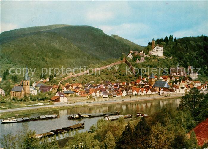 Hirschhorn Neckar Panorama Burg