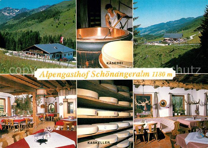 Wildschoenau Tirol Alpengasthof Schoenangeralm