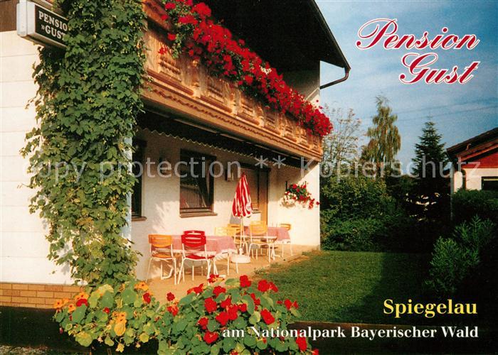 Spiegelau Pension Gust