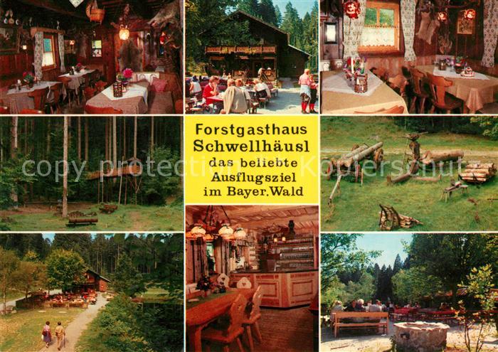 Zwieslerwaldhaus Ausflugsgaststaette Cafe Schwellhaeusl