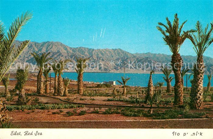 Eilat Eilath Israel Red Sea