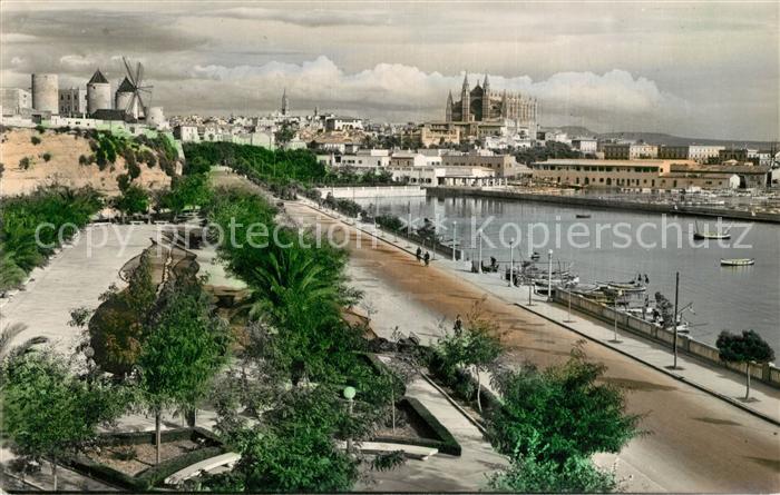 Palma de Mallorca Promenade Kathedrale
