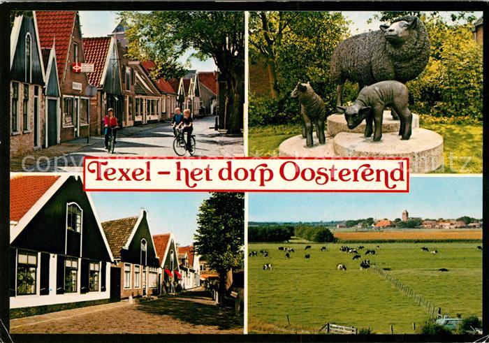 Texel Ortsansichten Weide Denkmal Schafe