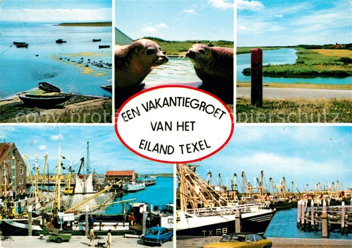 Texel Insel Seeloewen Hafen