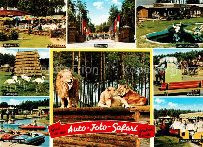 Stukenbrock Auto Foto Safari Restaurant Flamingos Minibootsfahrt Goldesel