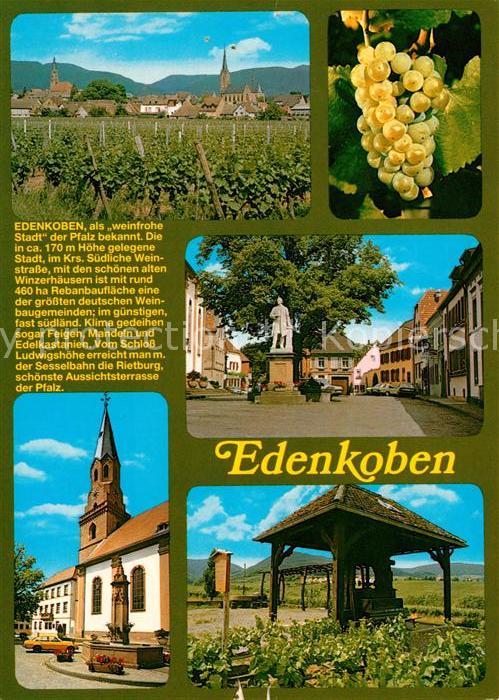 Edenkoben Panorama Kirche Weintrauben Denkmal