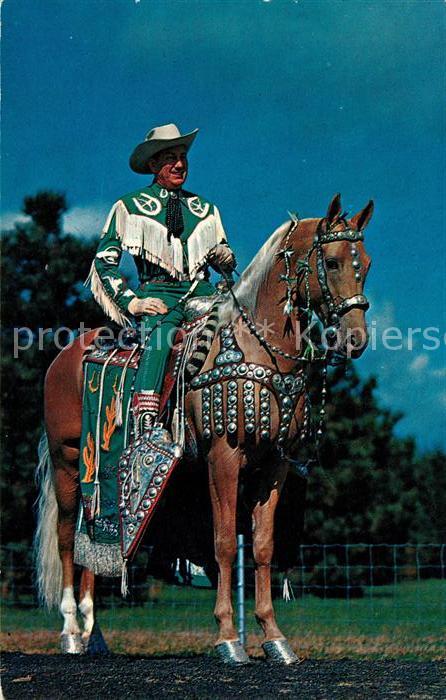 Pferde Art Miller Peavines Golden Major