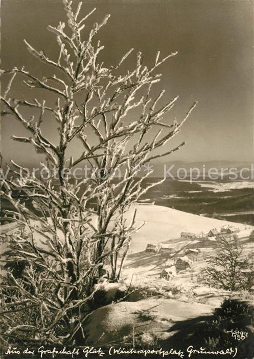 Foto Popp Nr. 158 Grafschaft Glatz